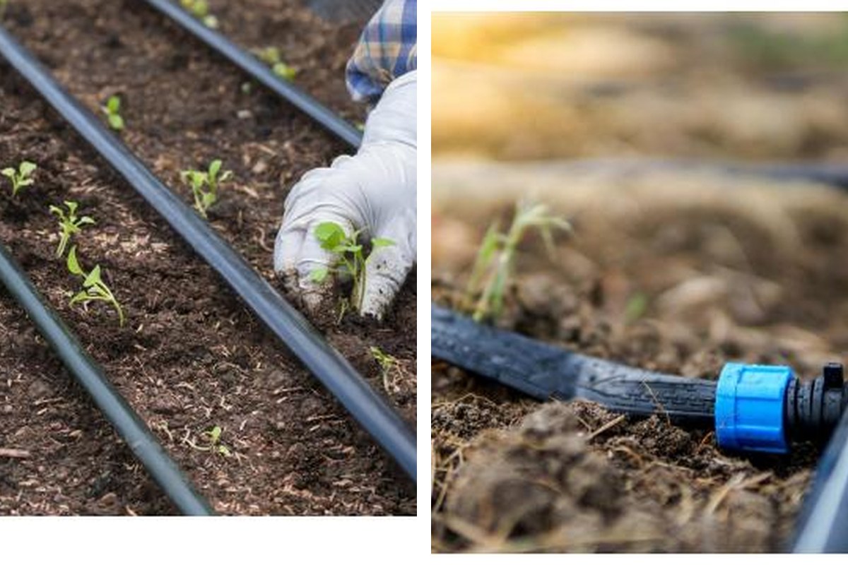 Drip Irrigation Tape